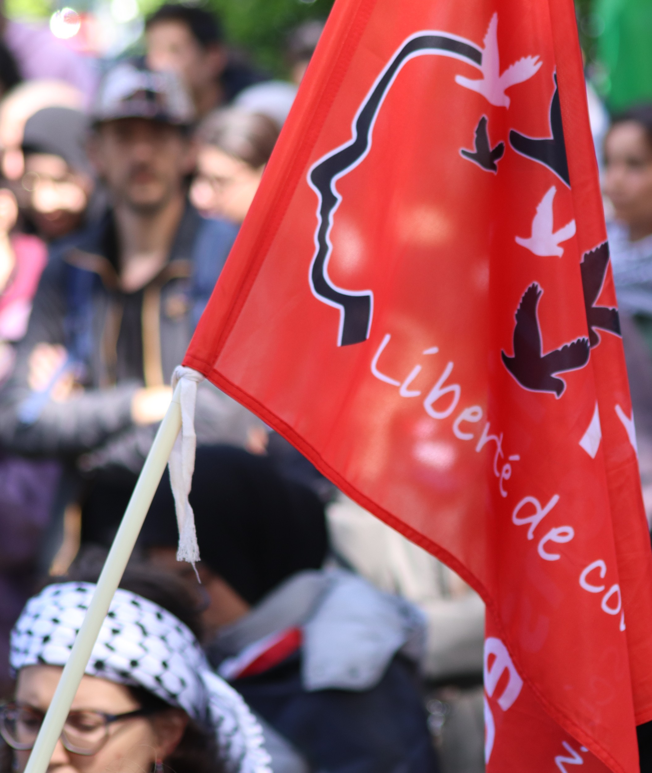 2024 05 18 MANIF PALESTINE VILLEURBANNE 19